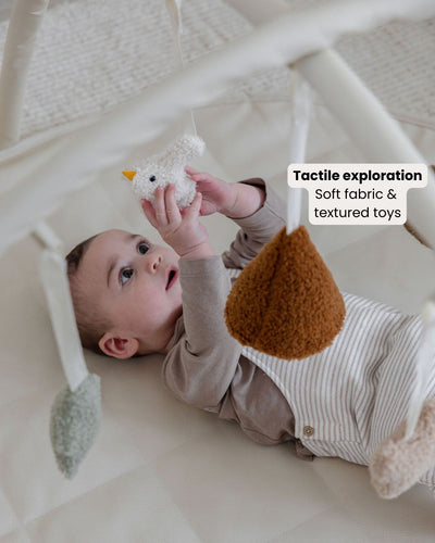 Baby Play Gym Bars & Toys