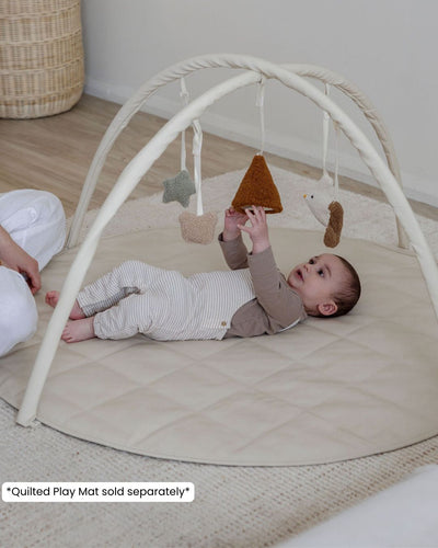 Baby Play Gym Bars & Toys