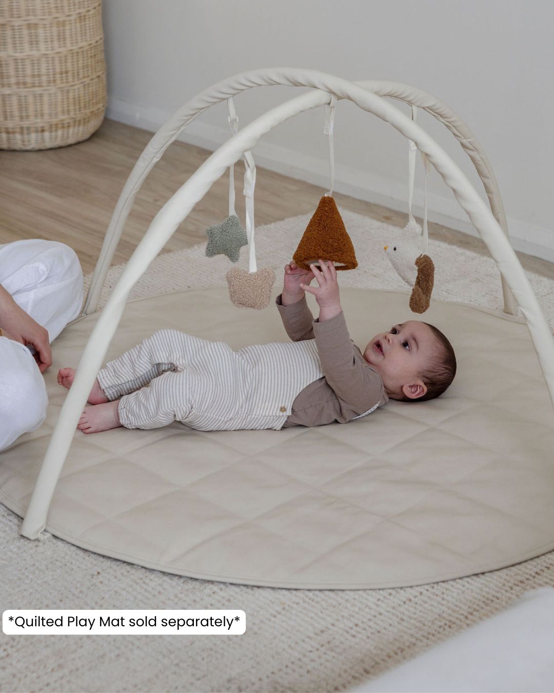 Baby Play Gym Bars & Toys